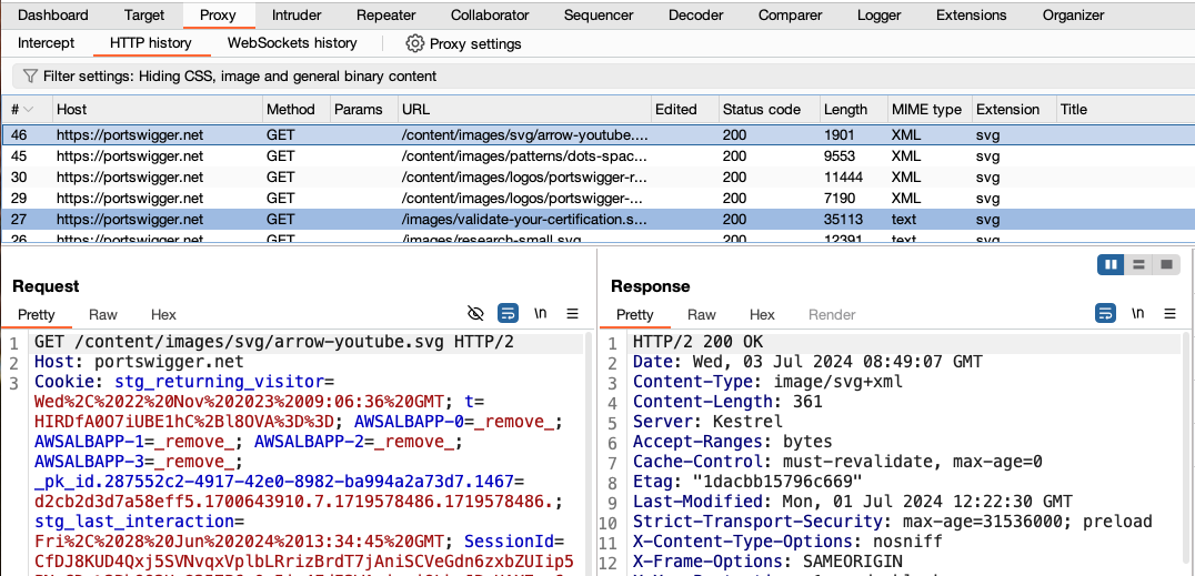 Burp Suite HTTP History 请求记录列表及请求详情的真实界面截图