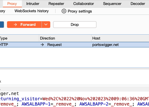 Burp Suite Proxy 拦截授权实验中的 HTTP 请求，展示请求内容与转发控制